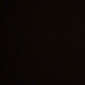 Meet your Posher, Daria